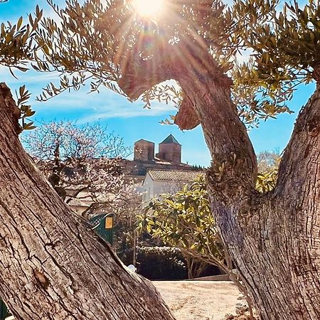 Melisande Au Pays Des Orjouliers Saint-Jean-de-Fos Екстер'єр фото