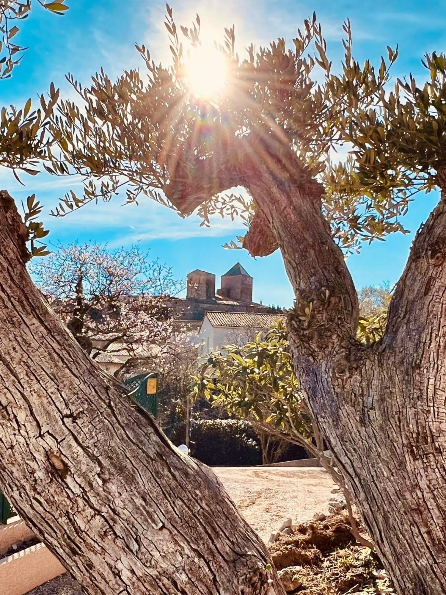 Melisande Au Pays Des Orjouliers Saint-Jean-de-Fos Екстер'єр фото